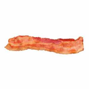 bacon_main